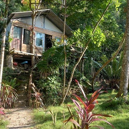 Sumatra Ecolodge Sungaipisang Eksteriør billede
