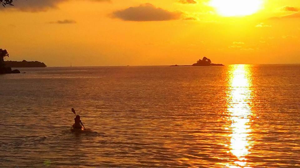 Sumatra Ecolodge Sungaipisang Eksteriør billede