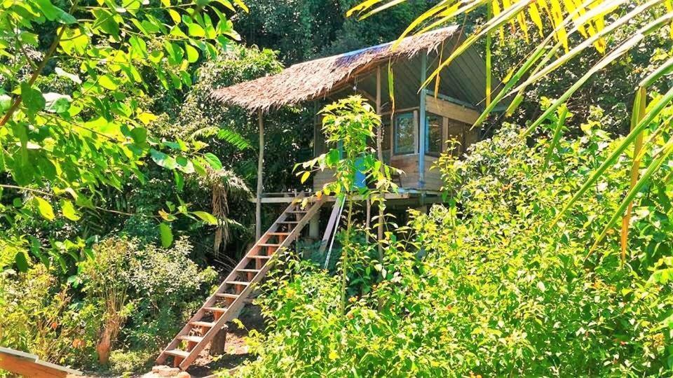 Sumatra Ecolodge Sungaipisang Eksteriør billede
