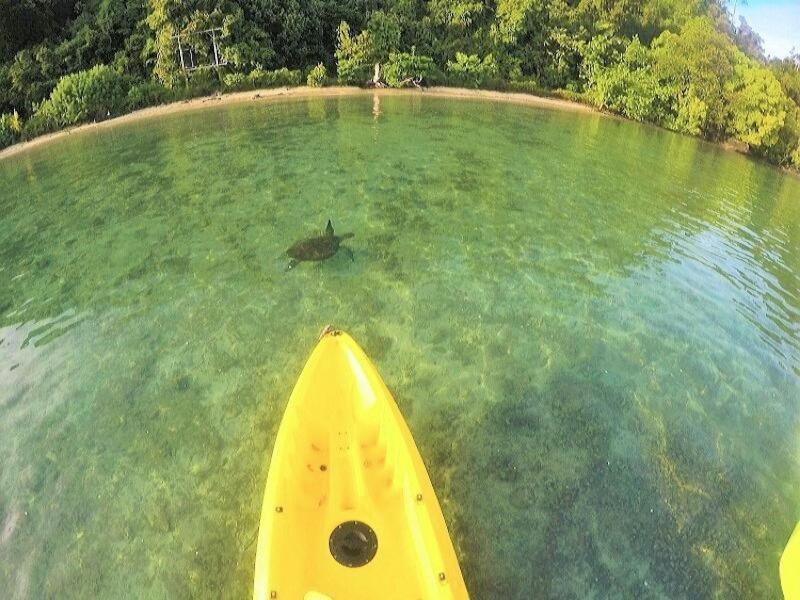 Sumatra Ecolodge Sungaipisang Eksteriør billede