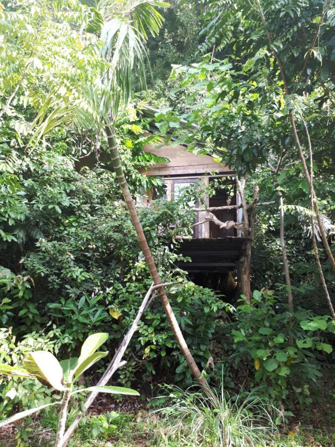 Sumatra Ecolodge Sungaipisang Eksteriør billede