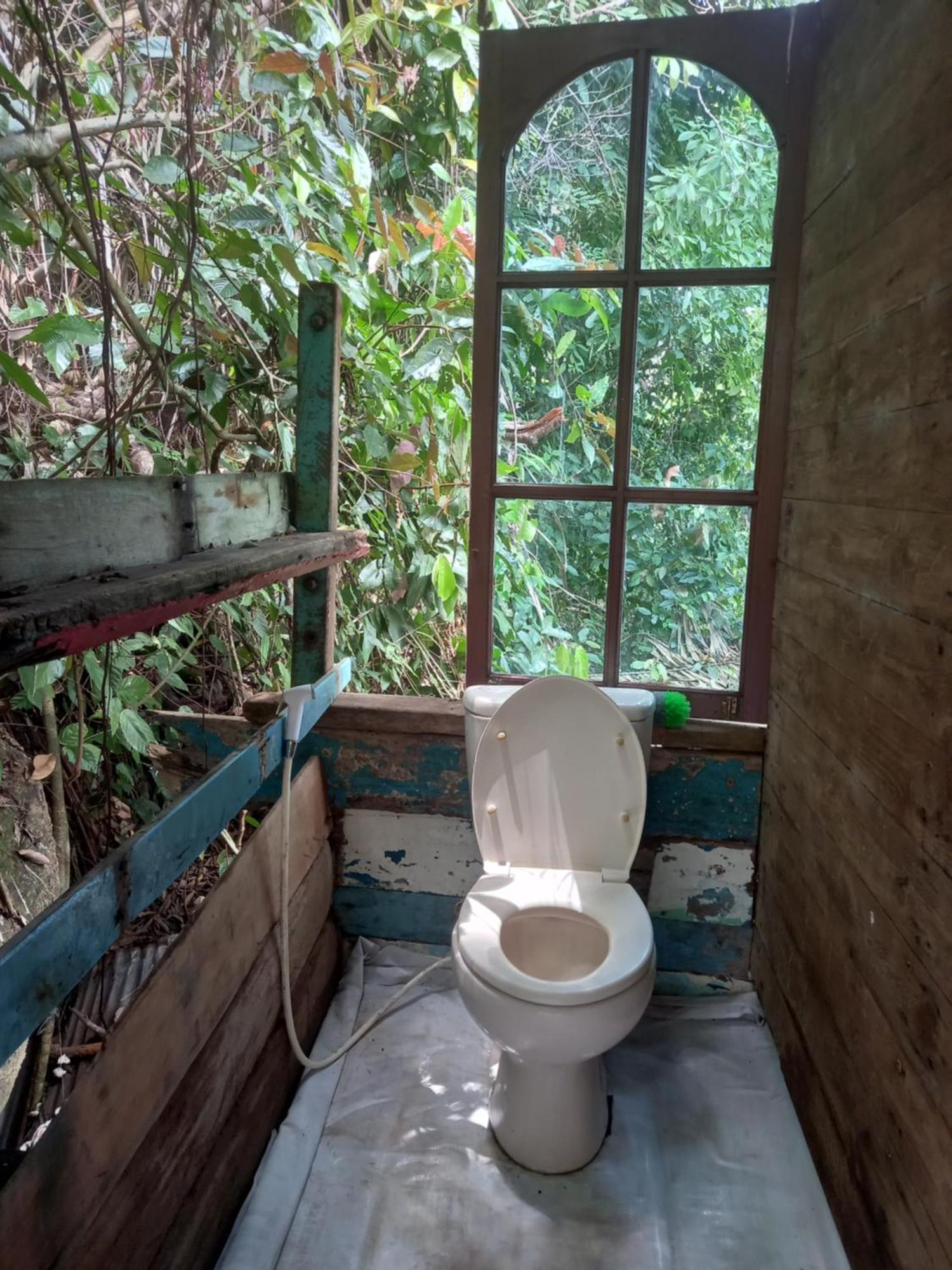 Sumatra Ecolodge Sungaipisang Værelse billede