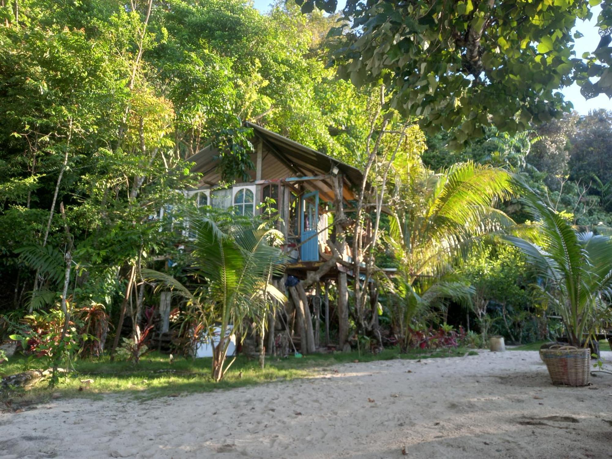 Sumatra Ecolodge Sungaipisang Værelse billede